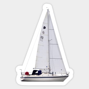 Player 31 Sailboat Sticker